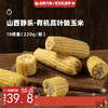 企鹅市集|山西 有机叶酸玉米 10根装（220g*10） 自然生长 3糯1甜  农科院玉米 商品缩略图0
