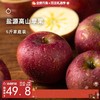企鹅市集|四川盐源高山苹果 5斤家庭装（8-10枚）浓郁苹果香气 纯粹甜蜜果香 商品缩略图0