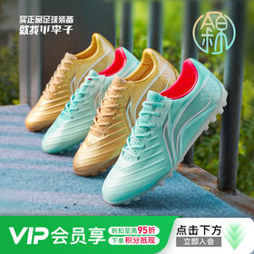 Lining/李宁锦系列次顶TF碎钉/MG短钉袋鼠皮成人足球鞋男YSFT011-4