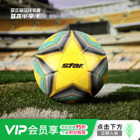 小李子STAR世达热粘合技术工艺运动训练5号足球成人男SB165FTB-05