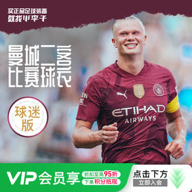 小李子PUMA彪马24/25赛季曼城第二客场球迷版球衣短袖成人男775201 03