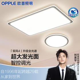 性价比爆款🔥欧普（OPPLE）宸风客厅简约现代吸顶灯套餐