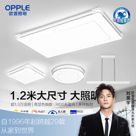 欧普（OPPLE）品煦客厅1.2m大尺寸极简风吸顶灯套餐