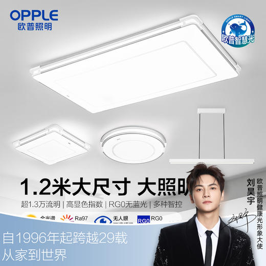 欧普（OPPLE）品煦客厅1.2m大尺寸极简风吸顶灯套餐 商品图0