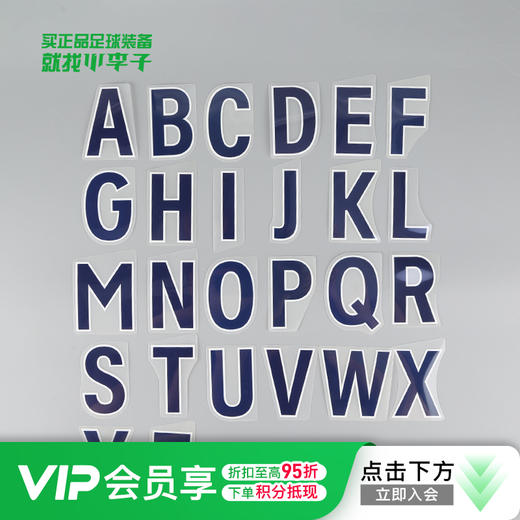【英超正版印号】23/24/25/26英超蓝色印字散字母 商品图0