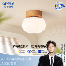 欧普（OPPLE）奶油泡泡·玄关过道单头吸顶灯