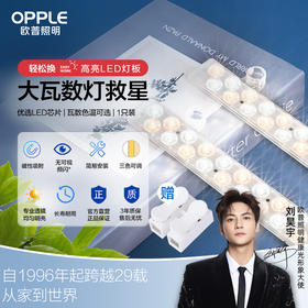 欧普（OPPLE）吸顶灯客厅灯改造灯板长条灯泡灯管灯条灯芯灯盘替换灯条