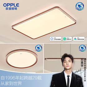 欧普（OPPLE）观澜·25新led全光谱护眼客厅吸顶灯原木风创意胡桃色极简新中式灯具