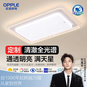 欧普（OPPLE）心晴客厅奶油风满天星线面吸顶灯套餐