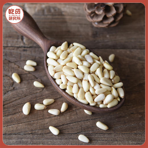 【口感香脆 洁白光亮】不用手剥的长白山红松子果仁  240g/罐丨零食 商品图0