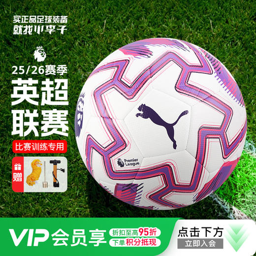 小李子PUMA彪马25-26赛季英超联赛4号5号球机缝训练足球084714 01 商品图0