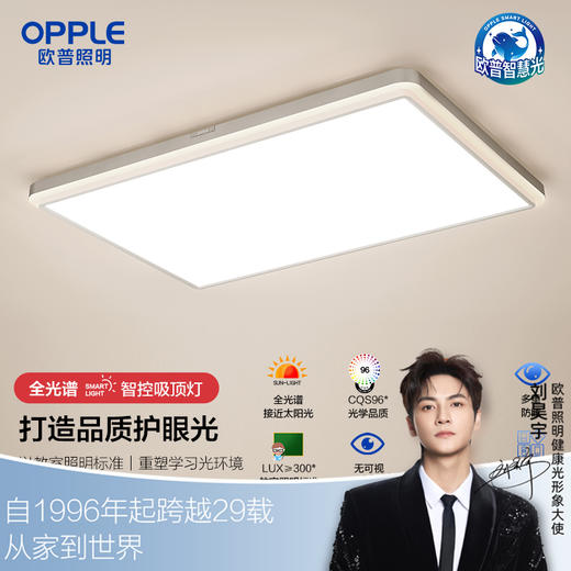 欧普（OPPLE）朗晴卧室专业光学钛金色防眩贴顶吸顶灯套餐 商品图0