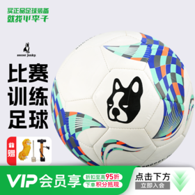小李子Soccer Junky足球青少年比赛训练机缝4号球儿童男SJ23513-102