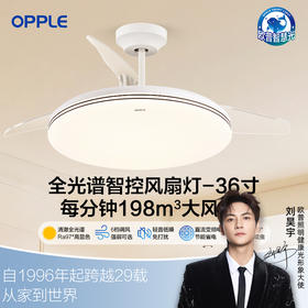欧普（OPPLE）泽风餐厅风扇灯全光谱现代简约卧室隐形吊扇灯