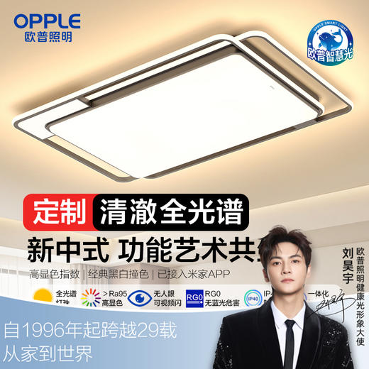 欧普（OPPLE）悦然客厅设计美学简约现代线面吸顶灯套餐 商品图0