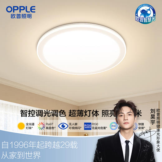 欧普（OPPLE）卧室led吸顶灯具家用圆形儿童现代简约馨房间灯云慕 商品图0