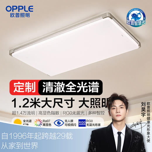 欧普（OPPLE）品澈客厅1.2m大尺寸简约现代吸顶灯套餐 商品图0