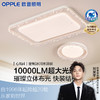 欧普（OPPLE）心灿客厅设计美学璀璨冰川吸顶灯套餐 商品缩略图0