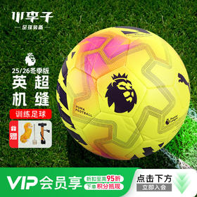 PUMA彪马 25-26赛季英超比赛足球4号5号联赛机缝训练球084715 01