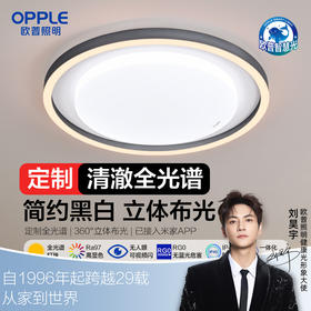 欧普（OPPLE）心莹卧室简约现代圆形线面吸顶灯