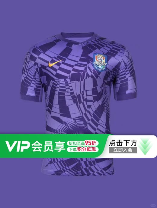 NIKE/耐克 AS TJT M NK DF JSY SS STAD HM 2025中超联赛 天津津门虎 主场短袖球衣 球迷版 HM6169-550 商品图0