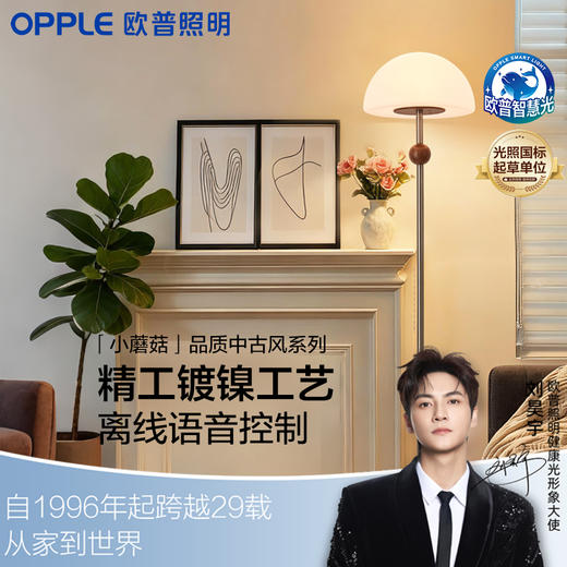 [预售·30天内发货]欧普（OPPLE）26新款中古风落地灯客厅沙发旁高级感装饰灯卧室复古实木氛围灯具小蘑菇 商品图0