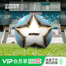小李子STAR世达PU热粘合技术工艺运动训练5号足球成人男SB165FTB