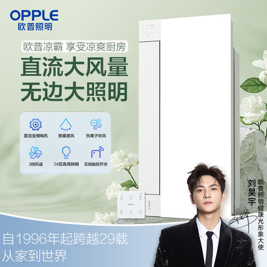 欧普（OPPLE）LZ02厨房2合1变频凉霸 商品图0