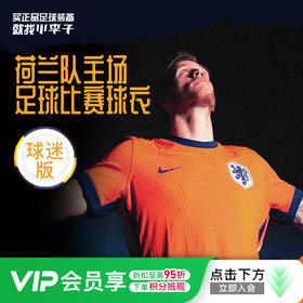 小李子NIKE耐克2024欧洲杯荷兰主场球迷版比赛球衣短袖成人男FJ4276-819