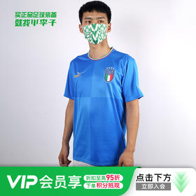 PUMA/彪马2022世界杯意大利主场球迷版比赛球衣成人男76564301