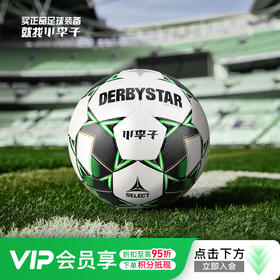 小李子select德比星FIFA认证手缝5号比赛足球学生训练耐磨防水男
