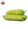 优选|海阳白玉黄瓜   脆嫩多汁  清香扑鼻   甜润爽口  4.5斤 商品缩略图0