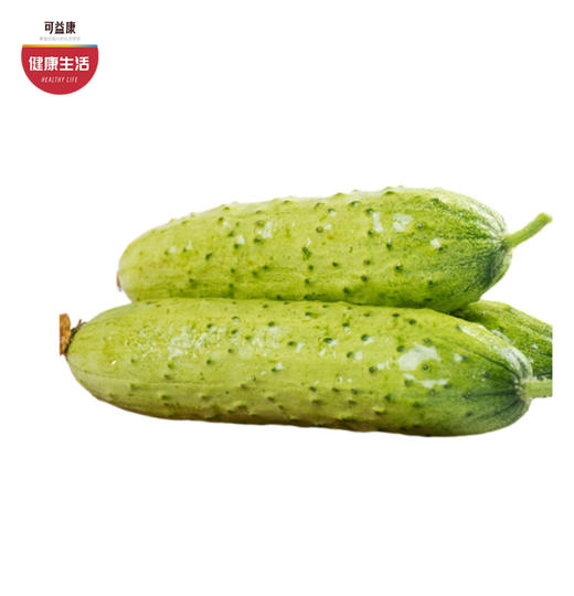 优选|海阳白玉黄瓜   脆嫩多汁  清香扑鼻   甜润爽口  4.5斤 商品图0