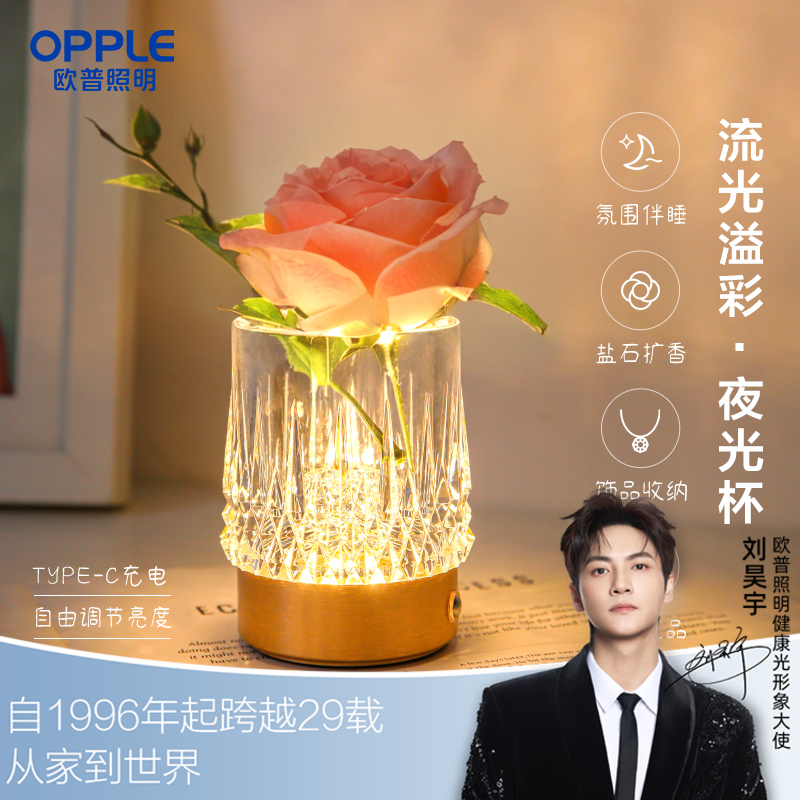 欧普（OPPLE）夜光杯·充电小夜灯收纳香薰水晶床头灯花瓶装饰摆件ins