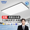 欧普（OPPLE）霜月客厅1.2m大尺寸现代简约新中式吸顶灯套餐 商品缩略图0
