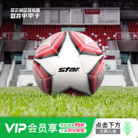小李子STAR世达Hybrid技术工艺运动训练比赛5号足球成人男SB395