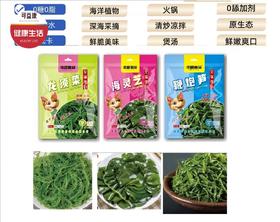拼团|鞭炮笋/龙须菜/海带苗/海灵芝 鲜嫩爽滑 提鲜增味 百搭好吃 200g/250g 4袋装