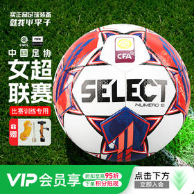 小李子:SELECT/德比星职业比赛手缝5号足球成人男S800 PRO