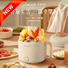 小画仙电煮锅LDZG-0106 商品缩略图0