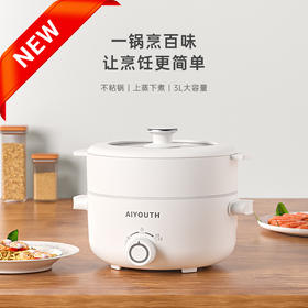 AIYOUTH艾青春 3L电火锅AI-HG309