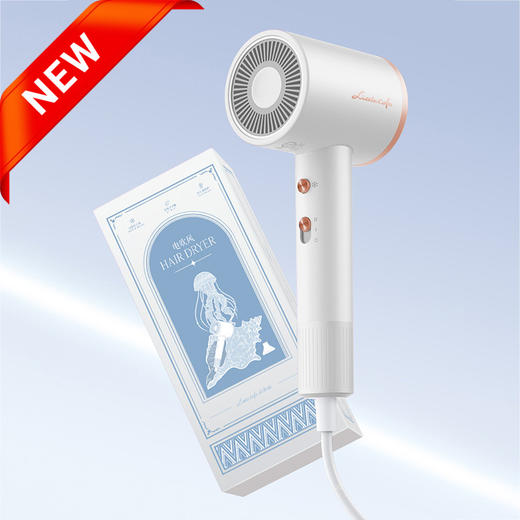 小画仙电吹风LDCF-1401 商品图0