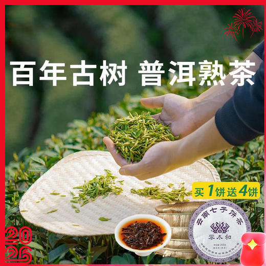 【云南普洱熟茶】云南布朗山古树 08年老茶料 商品图0