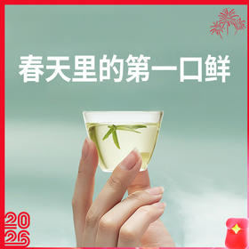 【明前龙井茶】尝鲜！开春头采嫩芽，鲜爽十足。一杯好龙井，悠然桃源间。