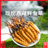 【现挖西藏鲜虫草】季节限定福利高端滋补补充满满能量 商品缩略图0