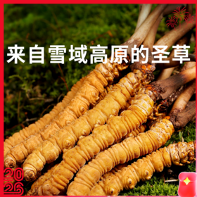 【西藏原产地直发 那曲虫草】高端滋补礼盒，一年只挖20天，能量满满每一天！