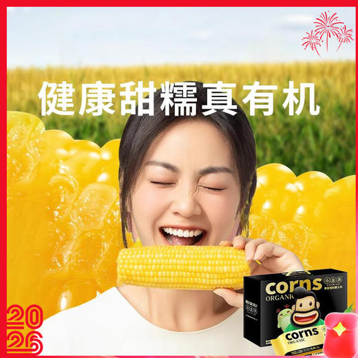 【鹿大叔有机糯玉米】颗颗饱满 软糯拉丝 有机健康玉米 老人孩子都爱吃 商品图0