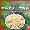 【九鑫山珍野生红松仁】甄选每一粒野生松仁  原味烘焙  入口香脆  回味悠长 商品缩略图0
