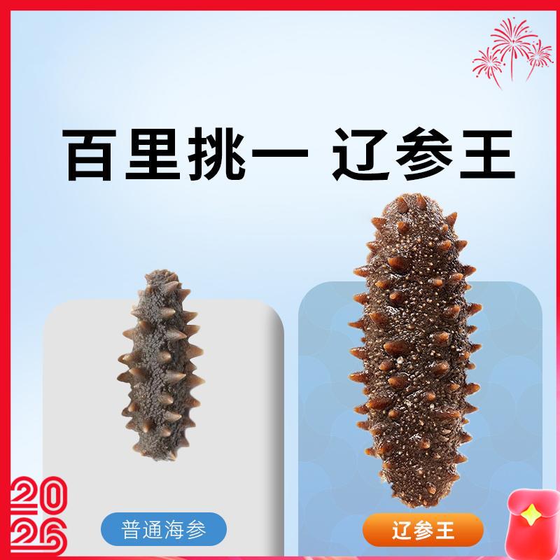 【辽刺参王】大连原产地百里挑一辽参王吃一根顶三根