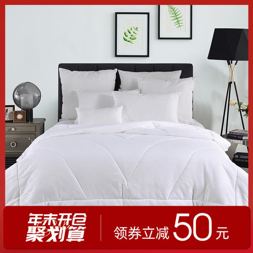 多喜爱 伯爵五星超柔四季被 -FXcs 商品图0
