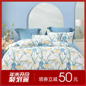 多喜爱 全棉新疆棉斜纹三/四件套 花溪畔